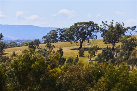 Quarry Hills Aboriginal Gathering Place site