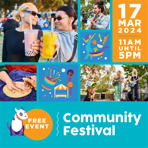 Community Festival 2024 promo