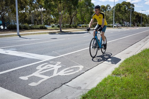 cycling-ferris.jpg