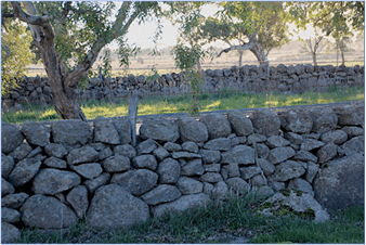 An image of a historic dry stone wall