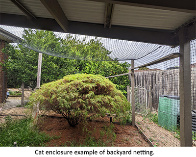 confine-your-pet-cat-enclosure-example-of-backyard-netting.png