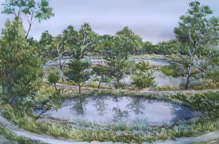 A painting of janefield wetlands