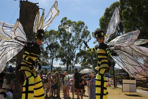 performers at community youth festival