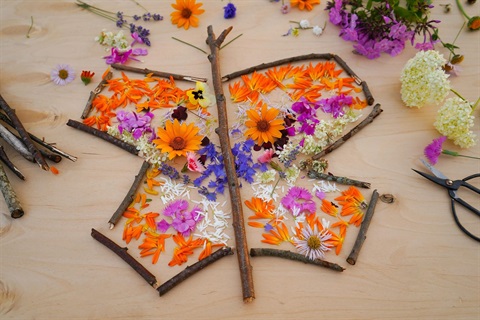 Petals and sticks in the shape of a butterfly.jpg