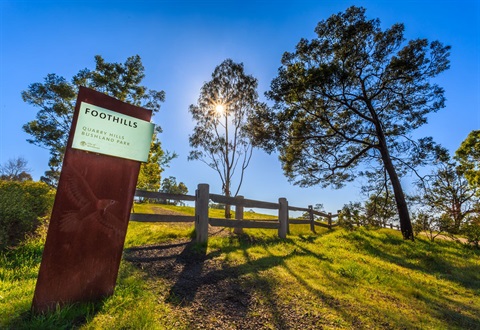 Park with trees and a sign