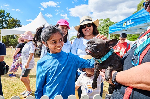 Pet Expo