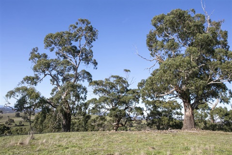 Granite Hills Park