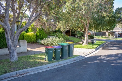 Council bins